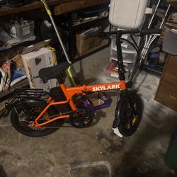 Skylark kids e-bike