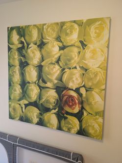Large rose canvas