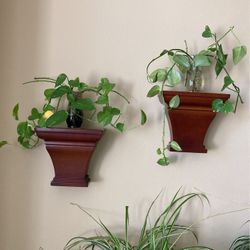 Wall Decore