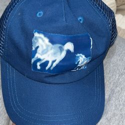Deftones House of Flies cap