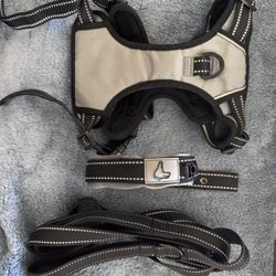 Dog Harness Complete Set