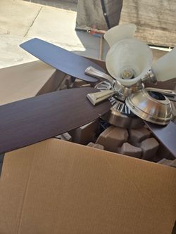 Hunter ceiling fan