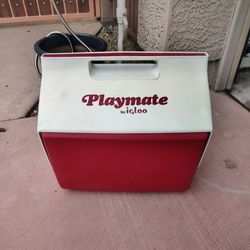 Igloo cooler