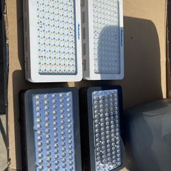 Led Grow Lights Roleadro And Viparspectra 450 Watts