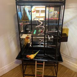 Bird Cages For Sale Used 