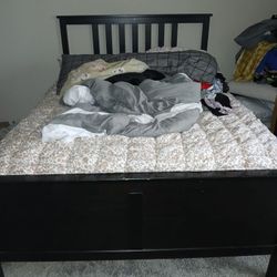 Bed Frame and mattress