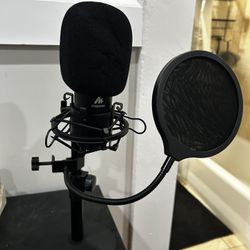 Laptop/Desktop Microphone