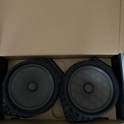 GM 6 1/2 Side Door Speakers