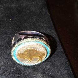 Buffalo Nickel Rimg