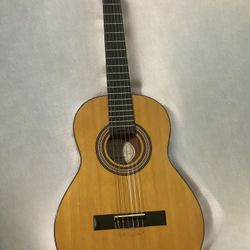 Epiphone PRO-1 Classic 
