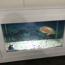 Tv stand with aquarium   