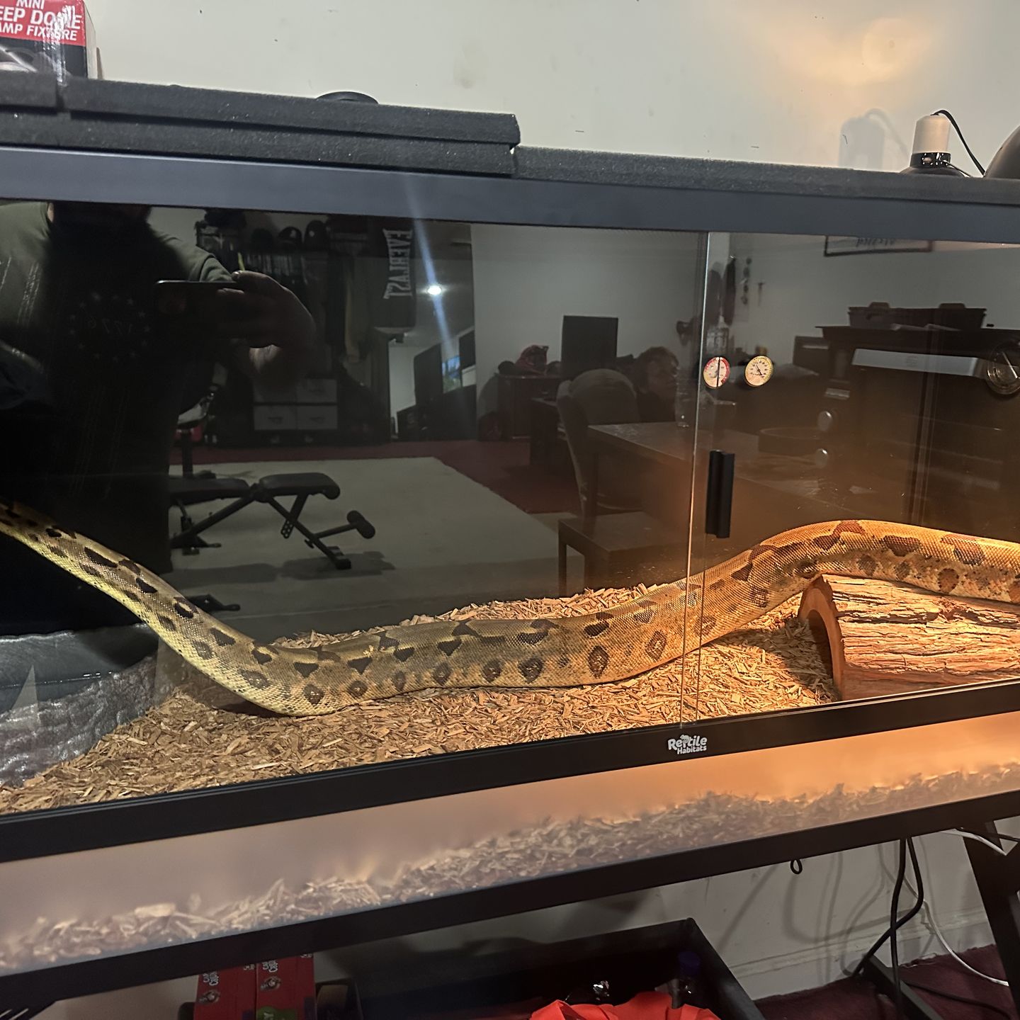 Reptile Habitats 5x2x2 Enclosure