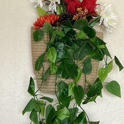 Wall Hanging Flower Pot 