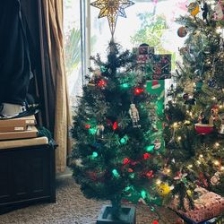 Mini Christmas tree 🌲 