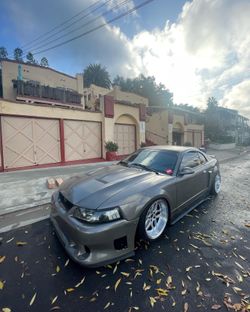 03-04 Mustang Cobra Hood 