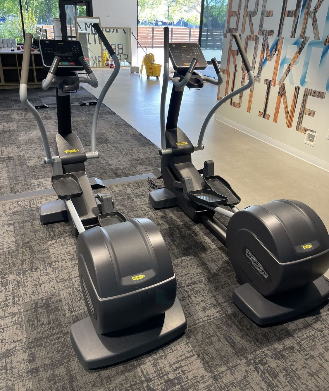 Technogym Elliptical Machine