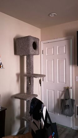 Cat tower $40