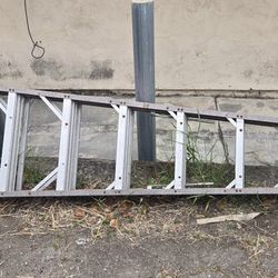 8 Ft Werner Ladder
