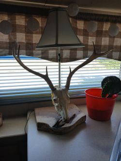 Hand Made deer skull lamp