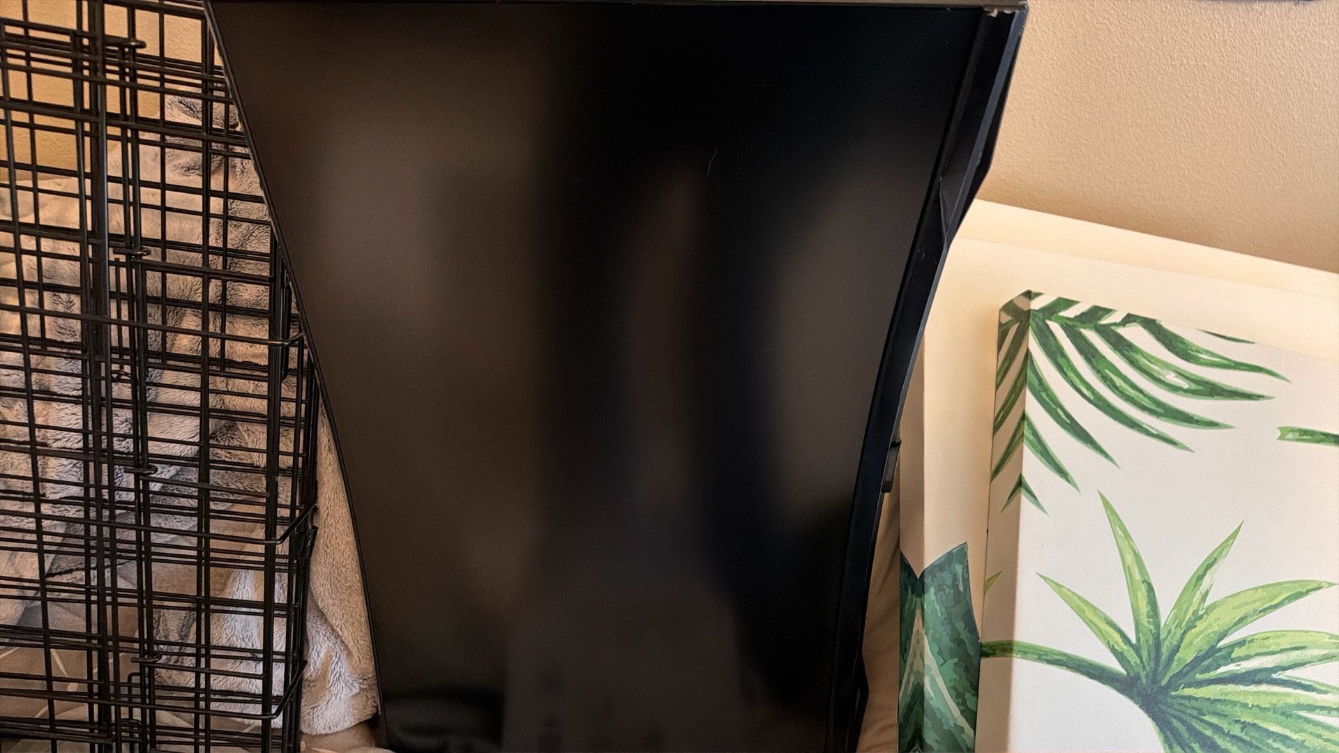 Samsung Curved G6 1440p 27” 240 Hz 1 Month Old