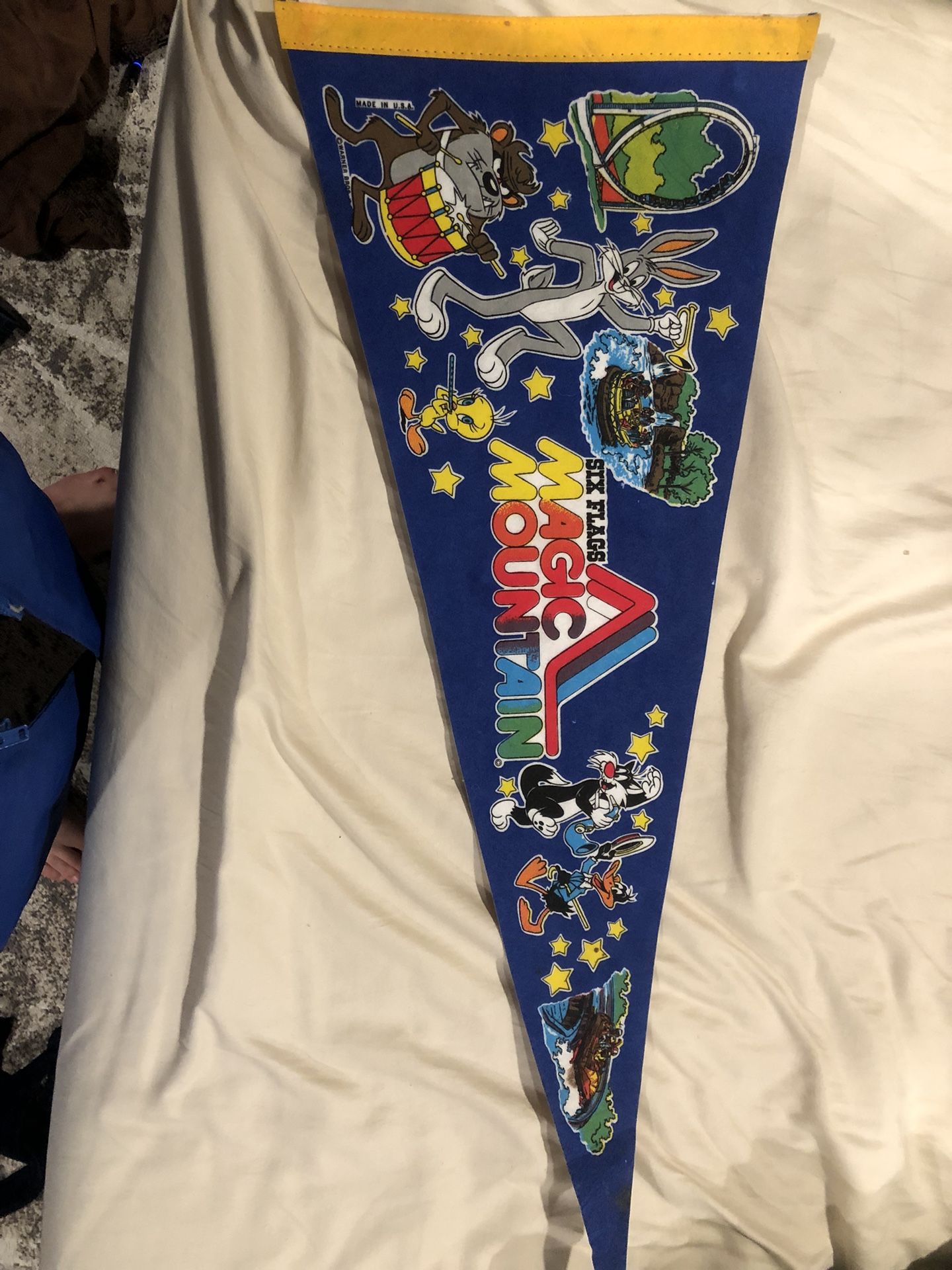 6 Flags magic mountain pennant