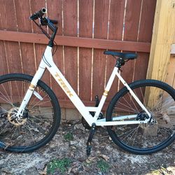 Trek Verve 1