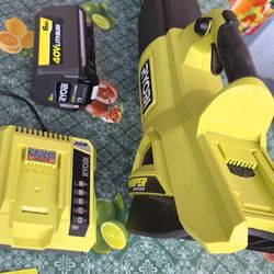 RYOBI
40V HP Brushless Whisper Series 160 MPH 650 CFM Cordless Battery Leaf Blower with 4.0 Ah Battery and Charger
