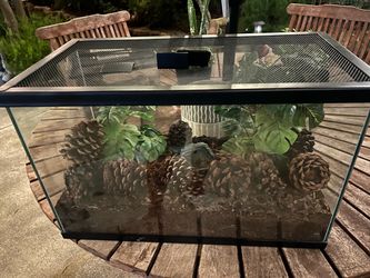 Terrarium