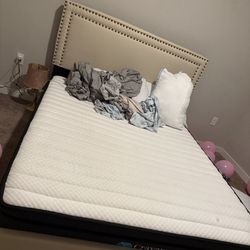 Queen Bed No Mattress 