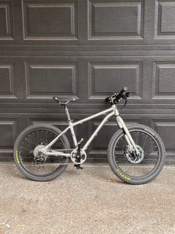 Early Rider Seeker24”  Premium Kids Mountain Bike – Brushed Aluminum