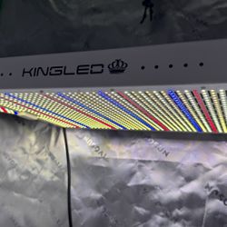 1000w Indoor Grow Light 