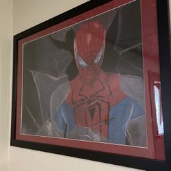 Original Chalk Drawing spider man