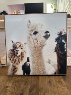 Wall Art Llama Alpaca