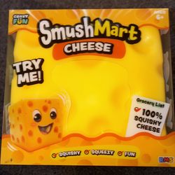 New Large Cheese Squishy