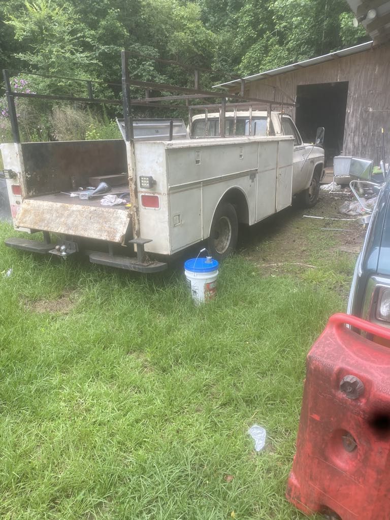 1982