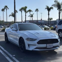 2019 Ford Mustang EcoBoost Premium Coupe 2D