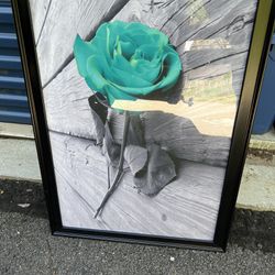 Poster of a Rose 20x28