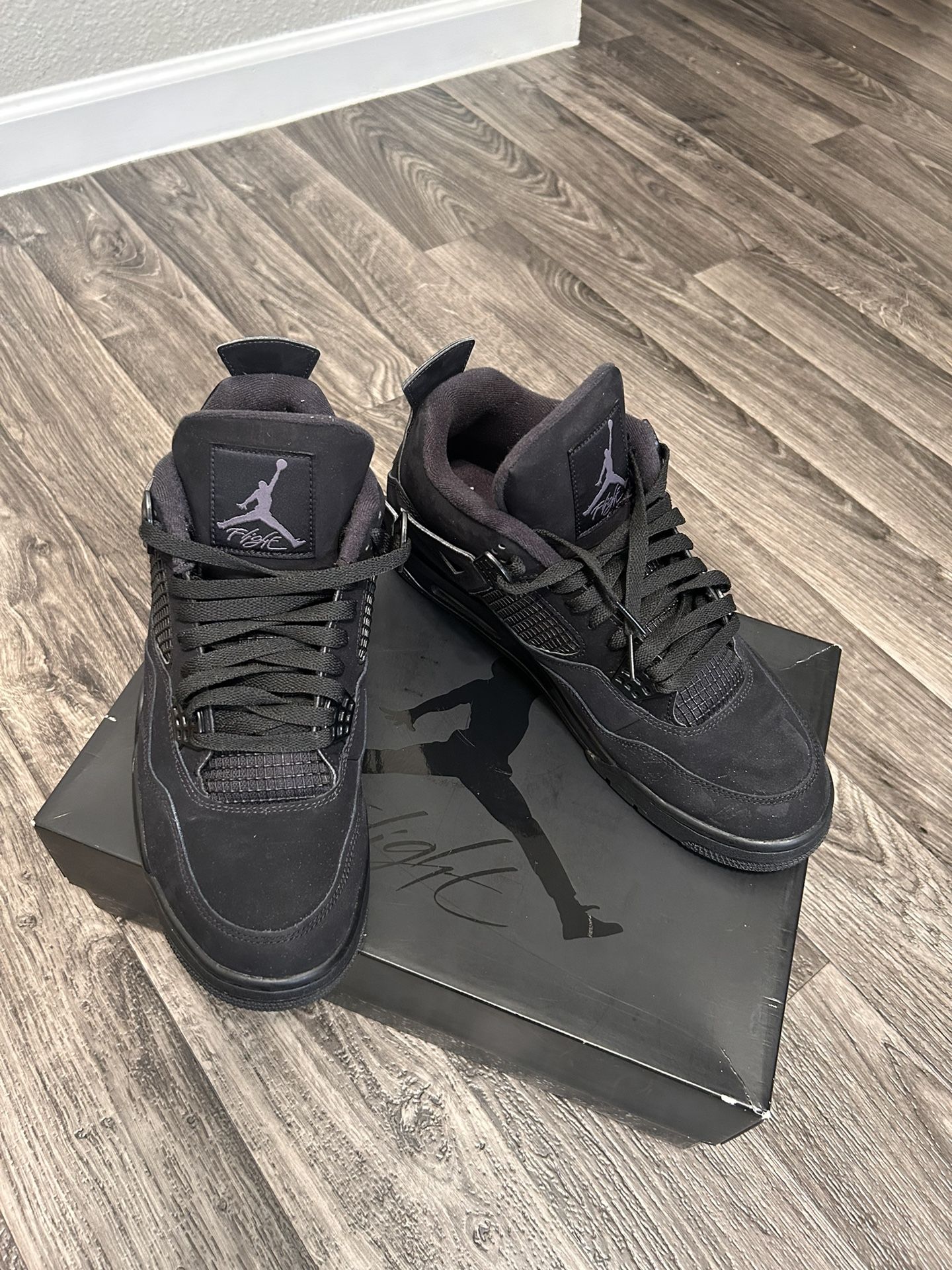 Air Jordan Black Cat Size 12