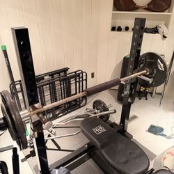 Bench Press With Weights & Weight Stand 