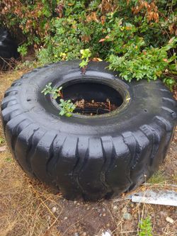Free Giant tire