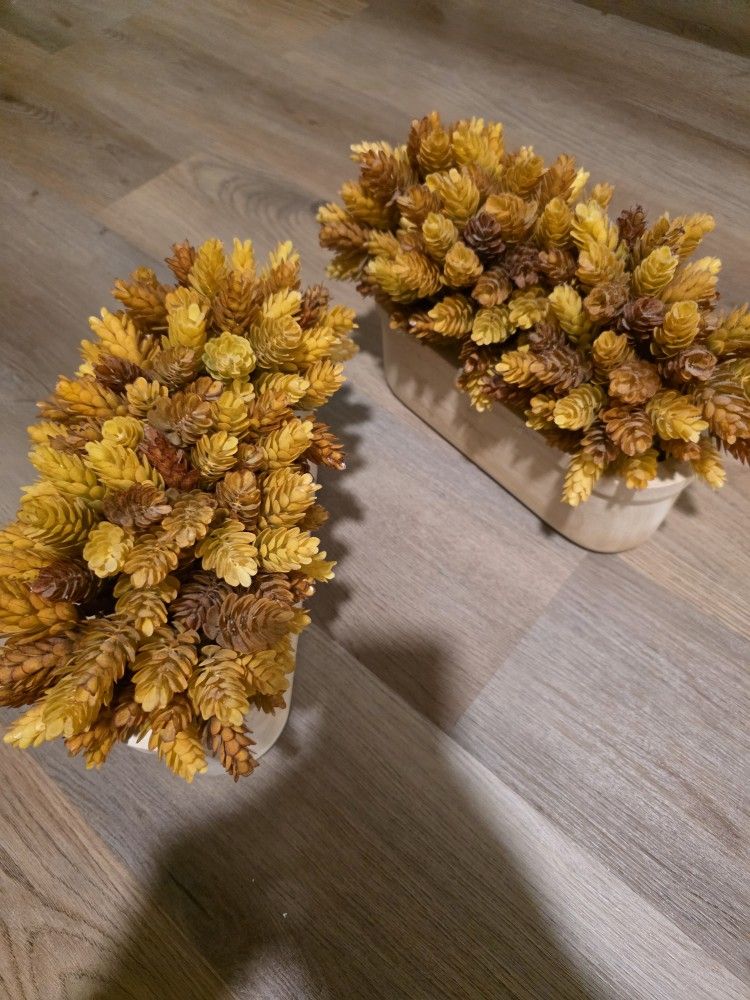 artificial plants