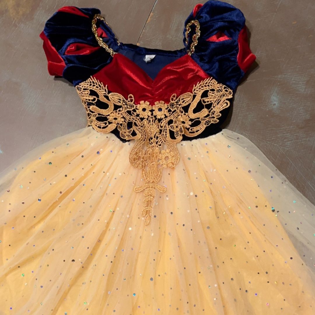 used disney princess dresses for sale Gently Used Princess Dresses For Sale