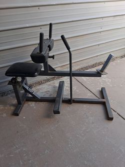 Seated calf