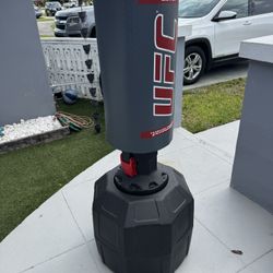 UFC Punching/Kicking Bag. Excellent condition.