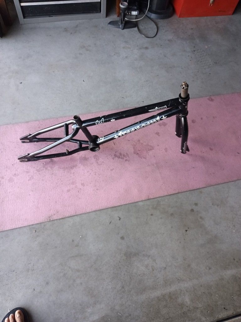 For Sale 2005 Free Agent Stilleto "Rick Thorn" Signature Series Frame. Please See Pictures And Read Details.