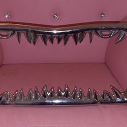 Shark Tooth License Plate Frame