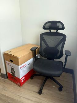 Staples Dexley Ergonomic Office Chair- Like New