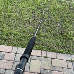 Tarpon rod