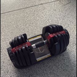 Bowflex Dumbbell