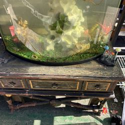 38gallons Bow Front Aquarium 